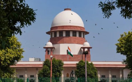 सुप्रीम कोर्ट ने उत्तर प्रदेश सरकार और प्रयागराज विकास प्राधिकरण को अवैध तरीके से घरों को ढहाने के लिए कड़ी फटकार लगाई।
